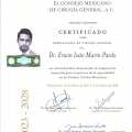 Ampliar imagen: certificate 2