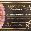 Ampliar imagen: certificate 2