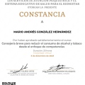 Ampliar imagen: certificate 5