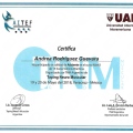 Ampliar imagen: certificate 7