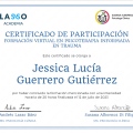 Ampliar imagen: certificate 6