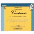 Ampliar imagen: certificate 13