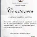 Ampliar imagen: certificate 9