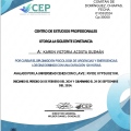 Ampliar imagen: certificate 17