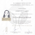 Ampliar imagen: certificate 5