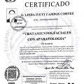 Ampliar imagen: certificate 14