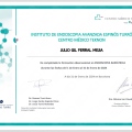Ampliar imagen: certificate 1