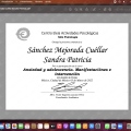 Ampliar imagen: certificate 4
