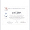 Ampliar imagen: certificate 7