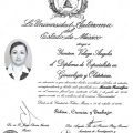 Ampliar imagen: certificate 2