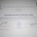 Ampliar imagen: certificate 9