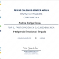 Ampliar imagen: certificate 11