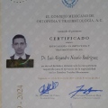 Ampliar imagen: certificate 7