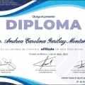 Ampliar imagen: certificate 3
