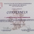 Ampliar imagen: certificate 5