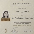 Ampliar imagen: certificate 3