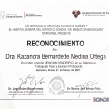 Ampliar imagen: certificate 3