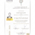 Ampliar imagen: certificate 3