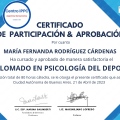 Ampliar imagen: certificate 5
