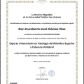 Ampliar imagen: certificate 6