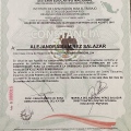 Ampliar imagen: certificate 4