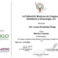 Ampliar imagen: certificate 5