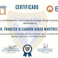 Ampliar imagen: certificate 5