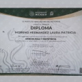 Ampliar imagen: certificate 3