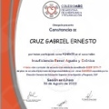 Ampliar imagen: certificate 1