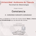 Ampliar imagen: certificate 3