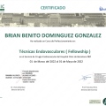 Ampliar imagen: certificate 4