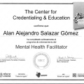 Ampliar imagen: certificate 2
