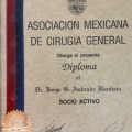 Ampliar imagen: certificate 3