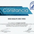 Ampliar imagen: certificate 14