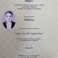 Ampliar imagen: certificate 3