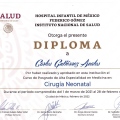 Ampliar imagen: certificate 9