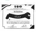 Ampliar imagen: certificate 38