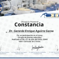Ampliar imagen: certificate 20