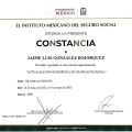 Ampliar imagen: certificate 3