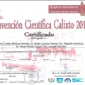 Ampliar imagen: certificate 16