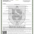 Ampliar imagen: certificate 1