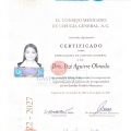 Ampliar imagen: certificate 2