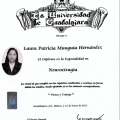 Ampliar imagen: certificate 3