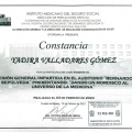 Ampliar imagen: certificate 17