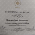Ampliar imagen: certificate 3