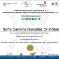 Ampliar imagen: certificate 1