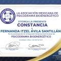 Ampliar imagen: certificate 2