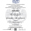 Ampliar imagen: certificate 1