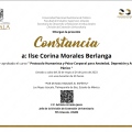 Ampliar imagen: certificate 1