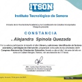 Ampliar imagen: certificate 13